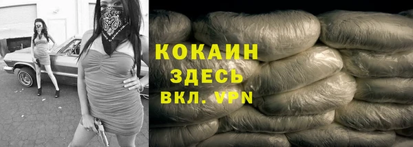 Альфа ПВП Верея