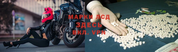 индика Бугульма