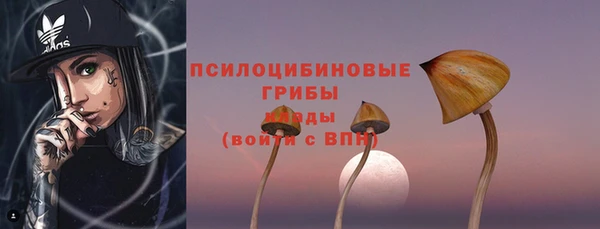 индика Бугульма