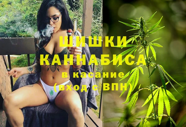 Альфа ПВП Верея